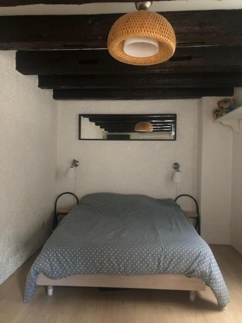Le Secret Des Tanneurs Appartement Colmar